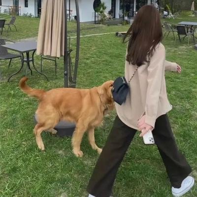 致命女杀手
